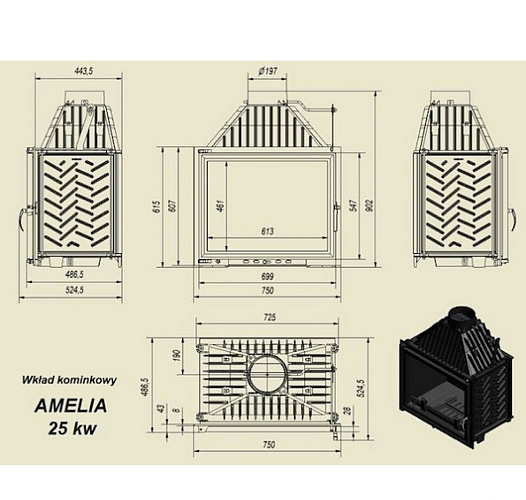 Каминная топка Amelia прямое стекло_1 Каминная топка Amelia прямое стекло_1